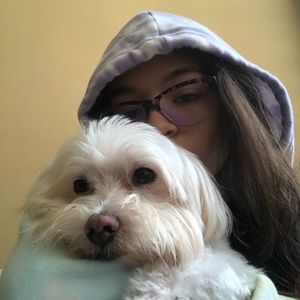 Meet your Posher, Sofia